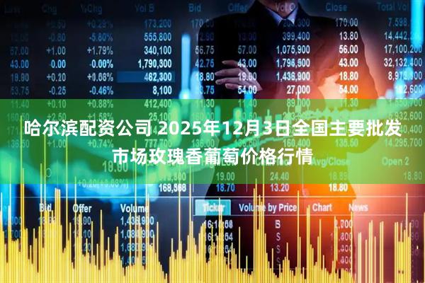 哈尔滨配资公司 2025年12月3日全国主要批发市场玫瑰香葡萄价格行情