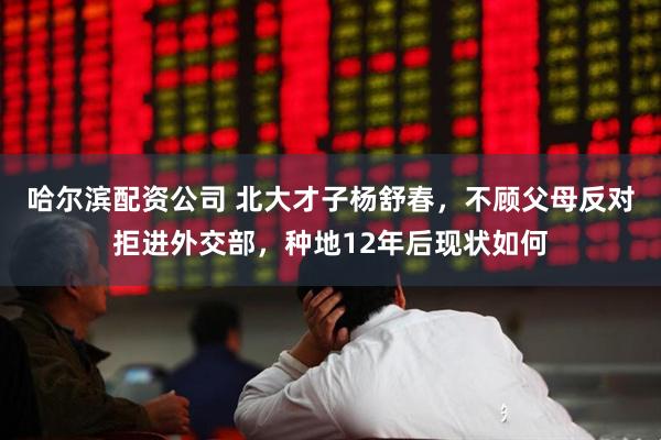 哈尔滨配资公司 北大才子杨舒春，不顾父母反对拒进外交部，种地12年后现状如何