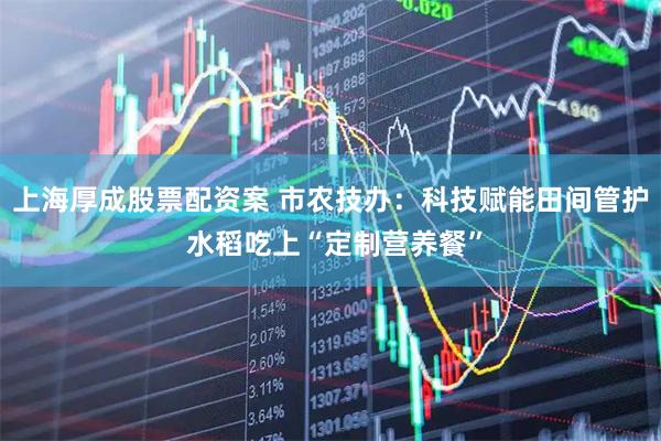 上海厚成股票配资案 市农技办:科技赋能田间管护 水稻吃上“定制营养餐”